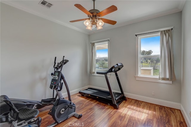 workout room featuring hardwood / wood-style floors, ceiling fan, and ornamental molding