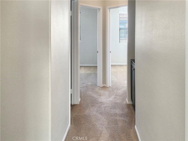 hallway with baseboards and carpet flooring