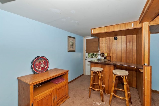 bar featuring wood walls and light colored carpet