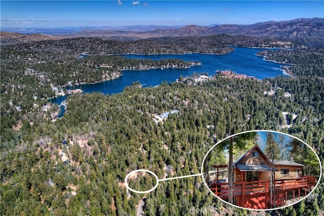 birds eye view of property featuring a water and mountain view