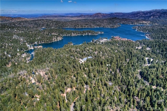 drone / aerial view with a water and mountain view