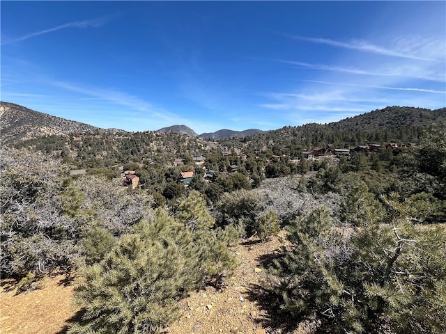 Listing photo 3 for 1912 Zermatt Dr, Pine Mountain Club CA 93225