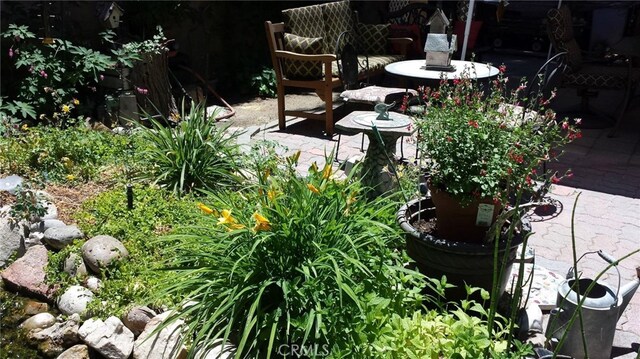 view of yard featuring a patio area