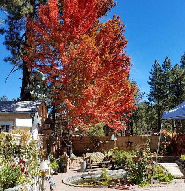 view of yard featuring a patio and fence