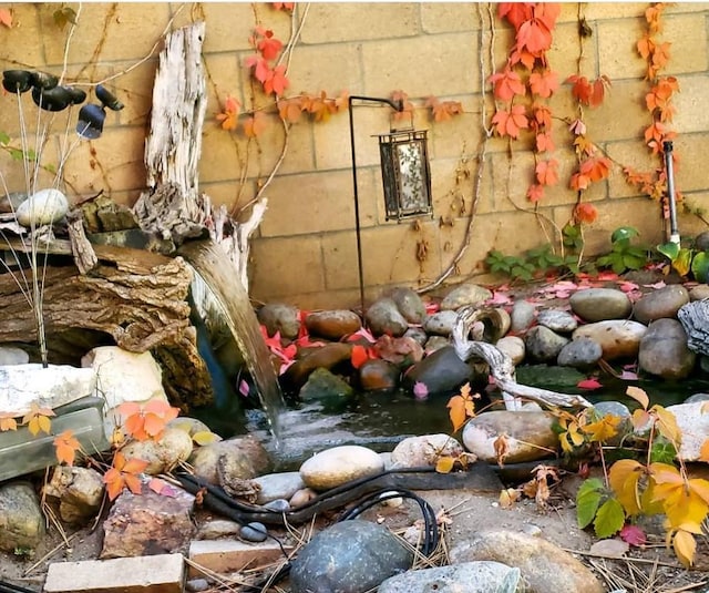 room details with a garden pond