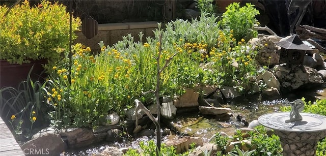 view of yard featuring a small pond