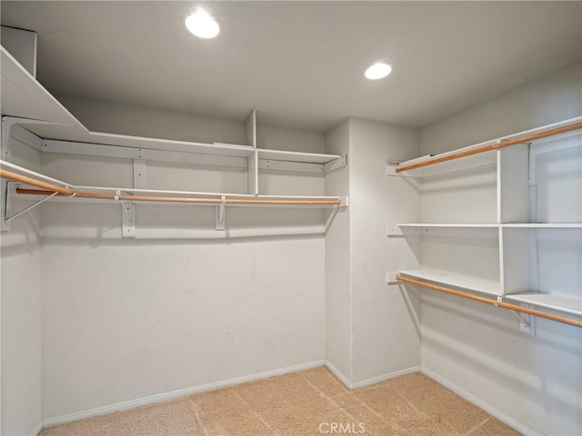 walk in closet with light colored carpet