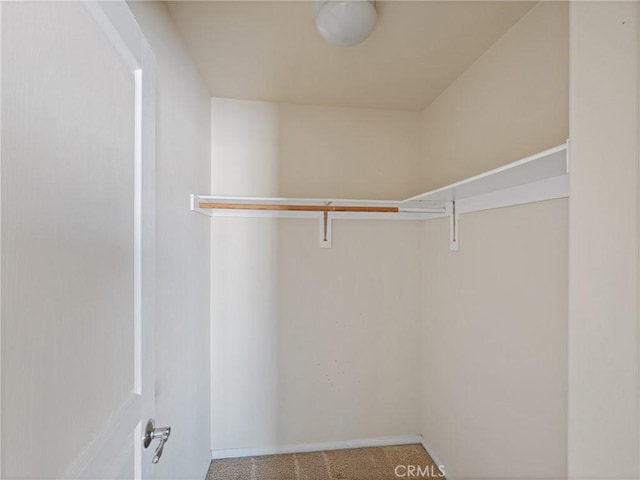 spacious closet with light carpet