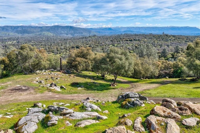 30591 Longview Ln E, Coarsegold, CA 93614 - photo 59