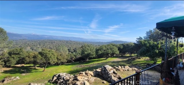30591 Longview Ln E, Coarsegold, CA 93614 - photo 74