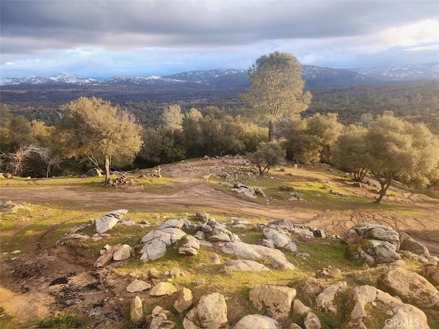 30591 Longview Ln E, Coarsegold, CA 93614 - photo 60