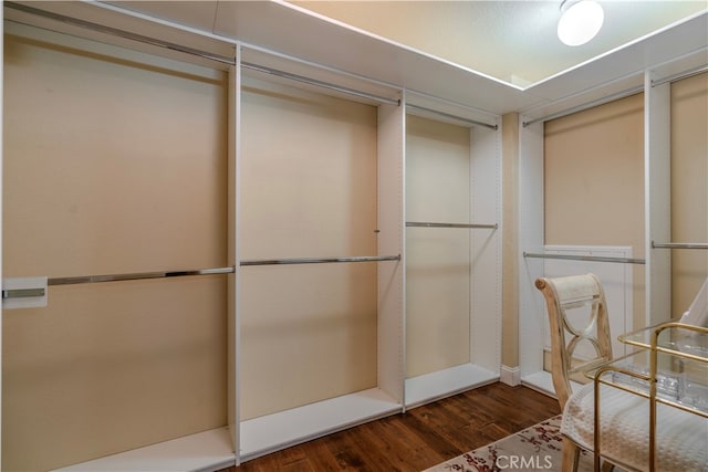 walk in closet with dark wood-type flooring