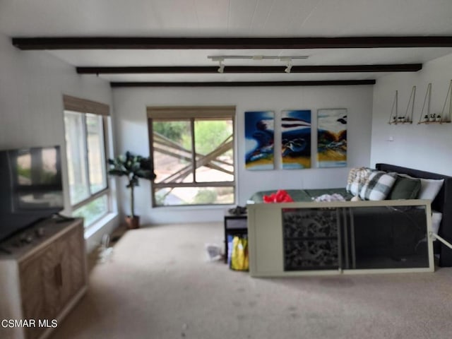 carpeted living room with beamed ceiling and plenty of natural light