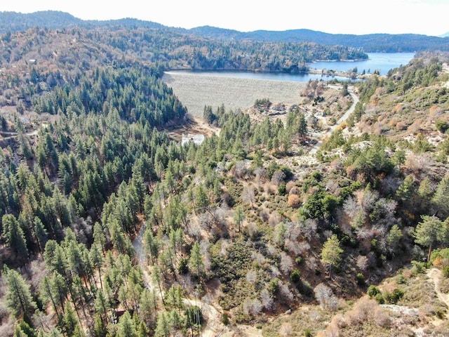 29522 Torrey Rd, Cedar Glen CA, 92321 land for sale