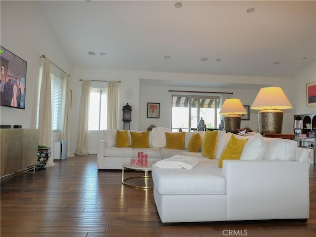 living room with lofted ceiling, dark hardwood / wood-style flooring, and a wealth of natural light