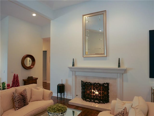 living room with hardwood / wood-style flooring and a fireplace