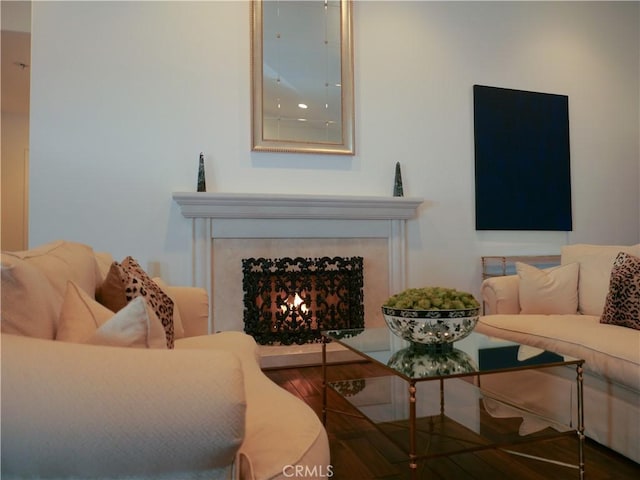 living room with a fireplace and wood-type flooring