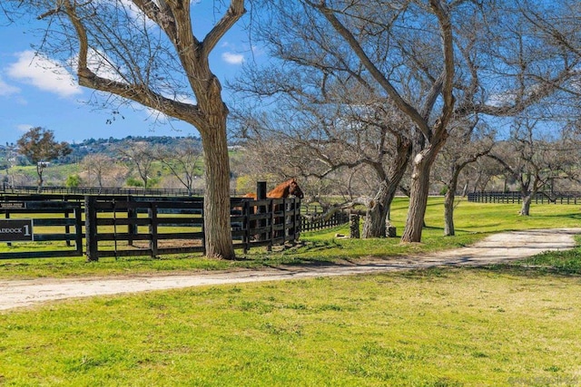 view of yard with a rural view