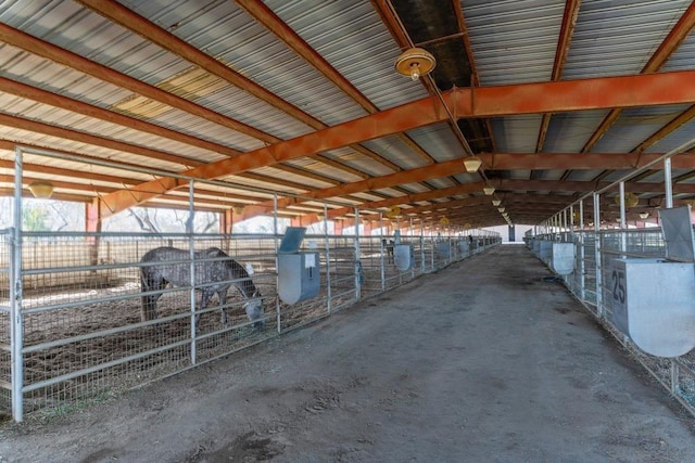 view of horse barn