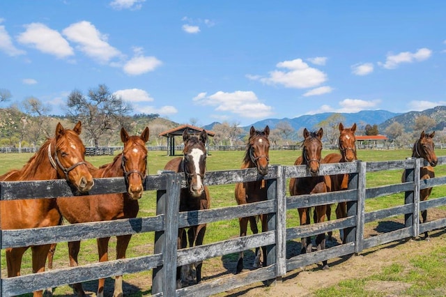 view of stable featuring a mountain view and a rural view