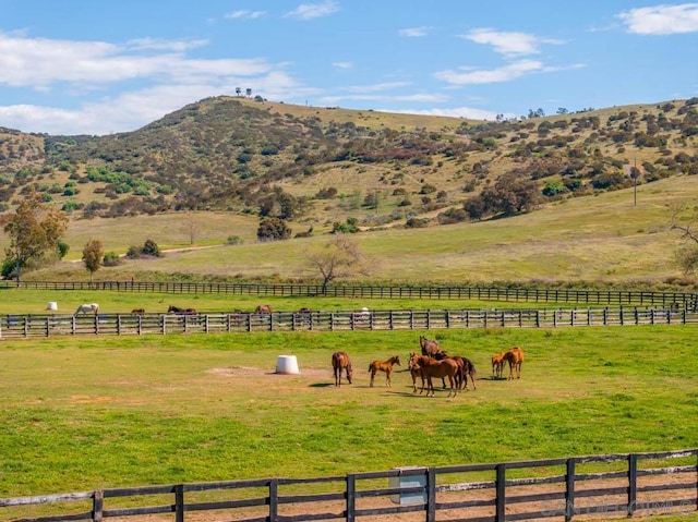 property view of mountains with a rural view