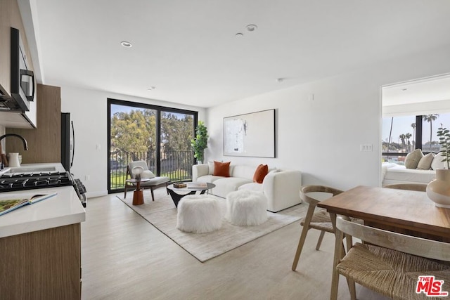 living room featuring light hardwood / wood-style floors and a healthy amount of sunlight