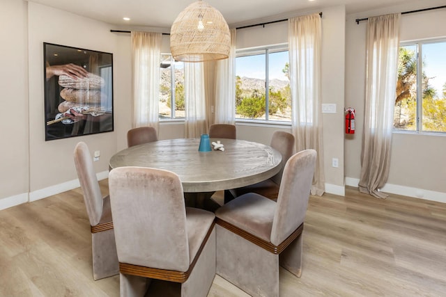 dining room with light hardwood / wood-style flooring