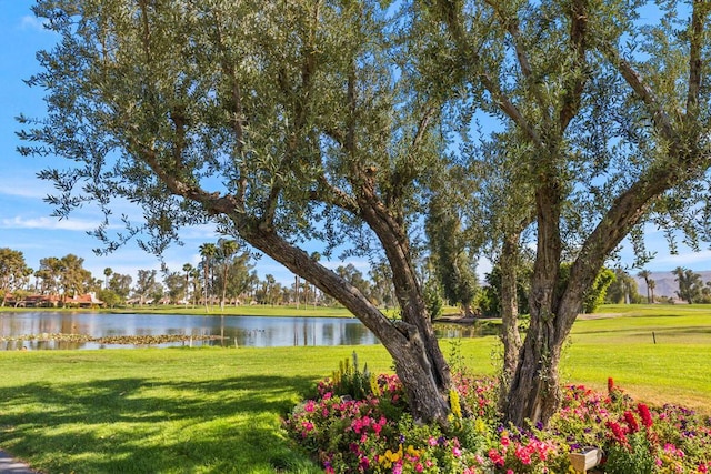 view of yard with a water view