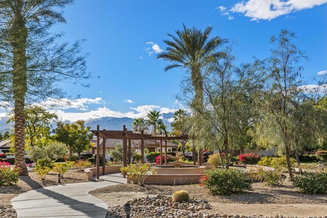 view of community with a pergola