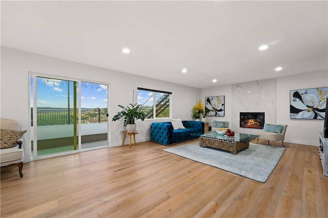 living room with a fireplace and light hardwood / wood-style floors