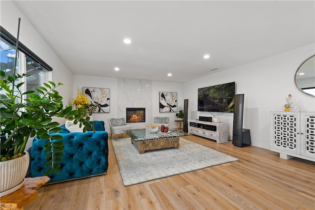 living room with a premium fireplace and light hardwood / wood-style floors