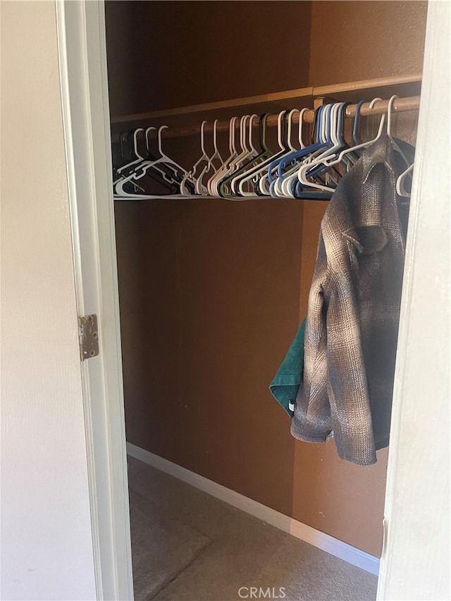 view of closet