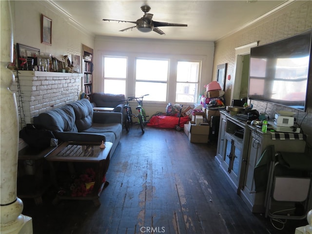 living room featuring crown molding, dark hardwood / wood-style floors, and ceiling fan