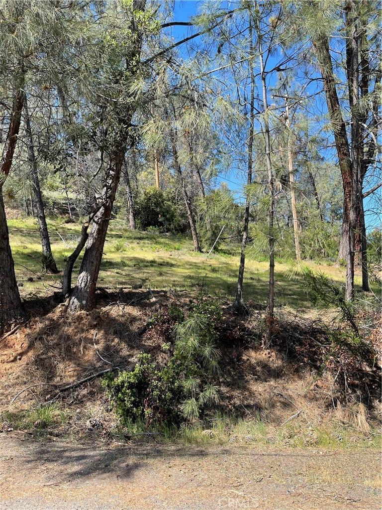 4736 Kaweah Rd, Kelseyville, CA 95451 - photo 3