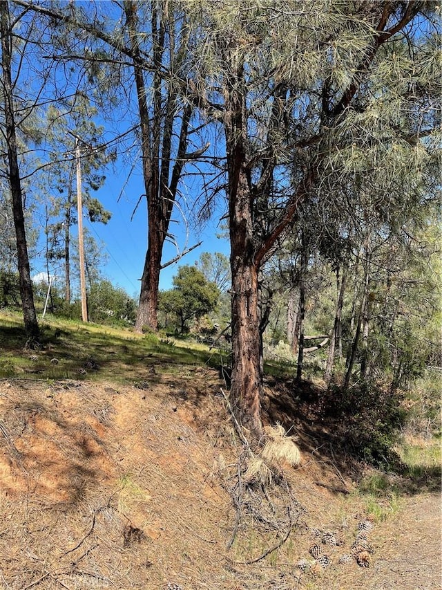 4736 Kaweah Rd, Kelseyville, CA 95451 - photo 2