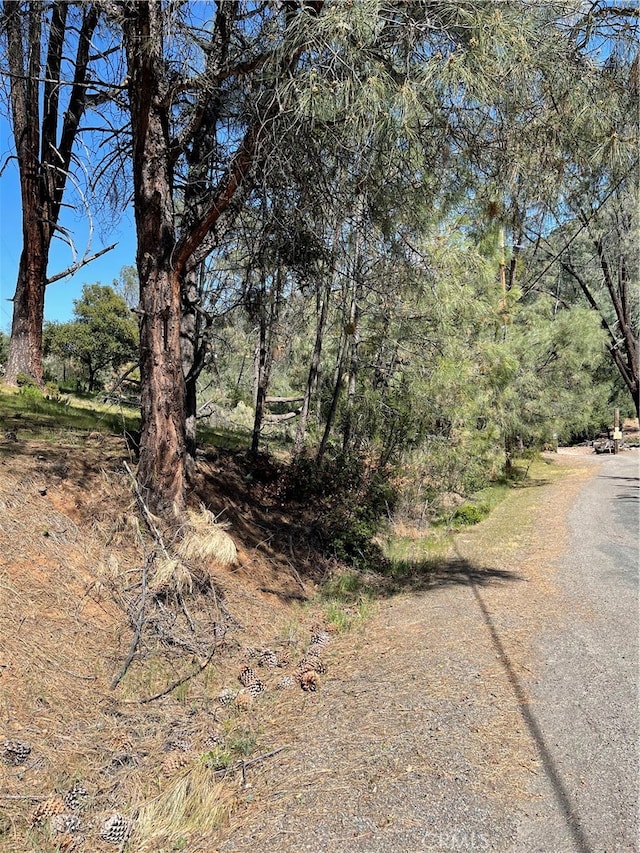 4736 Kaweah Rd, Kelseyville CA, 95451 land for sale