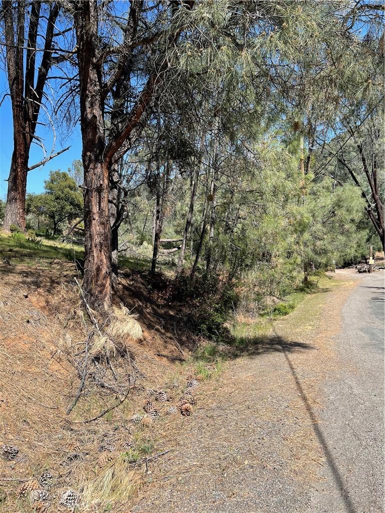 4736 Kaweah Rd, Kelseyville, CA 95451 - photo 1