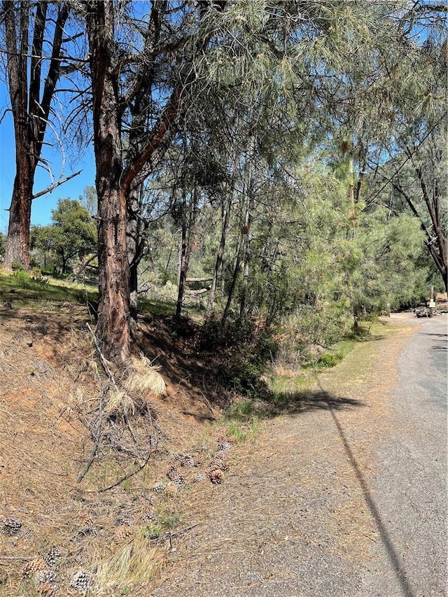 4736 Kaweah Rd, Kelseyville, CA 95451 - photo 1