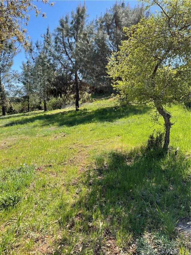 10715 Point Lakeview Rd, Kelseyville, CA 95451 - photo 3