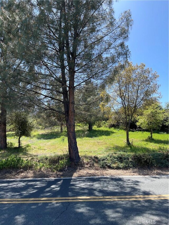 10715 Point Lakeview Rd, Kelseyville, CA 95451 - photo 1