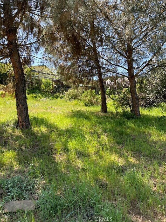 10715 Point Lakeview Rd, Kelseyville, CA 95451 - photo 4