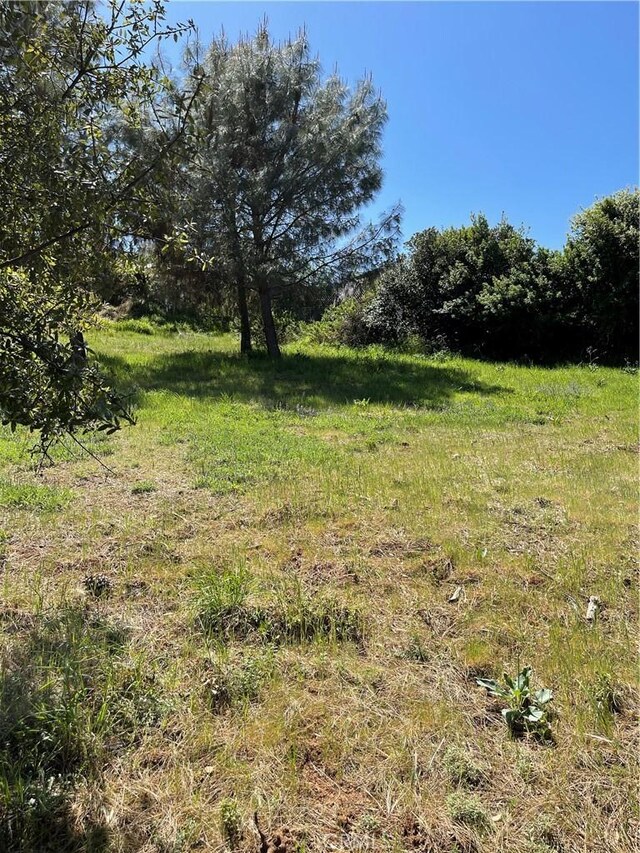 10715 Point Lakeview Rd, Kelseyville, CA 95451 - photo 2