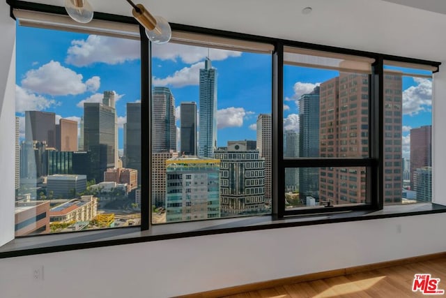 unfurnished room featuring light hardwood / wood-style flooring