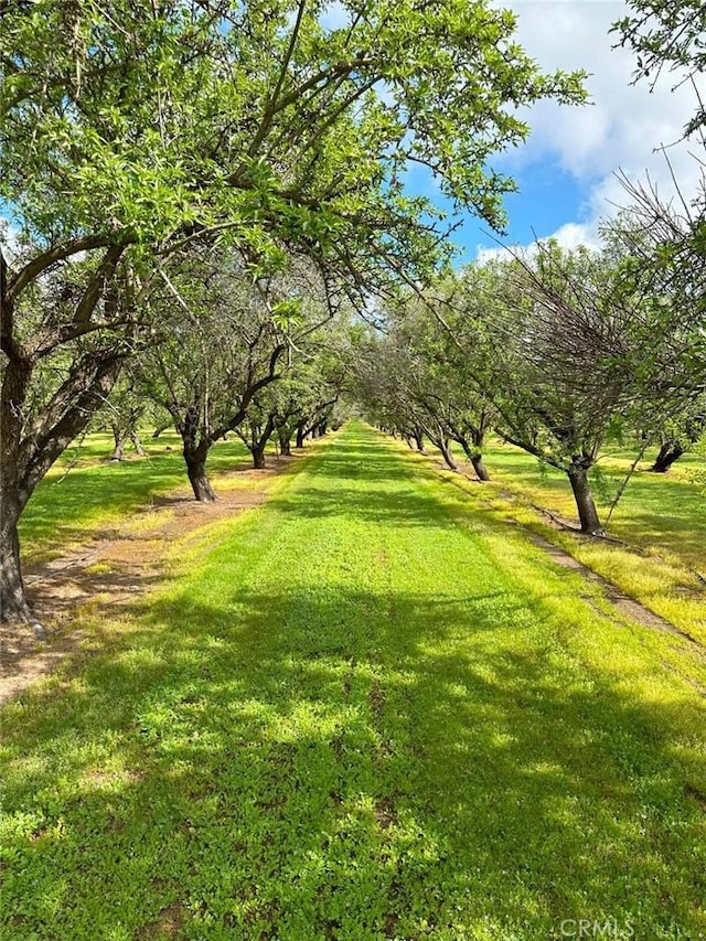 surrounding community featuring a yard