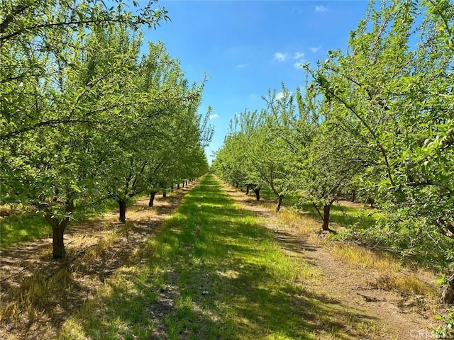 1 Hailey, Winton CA, 95388 land for sale