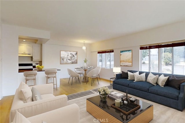 living area featuring light wood-type flooring