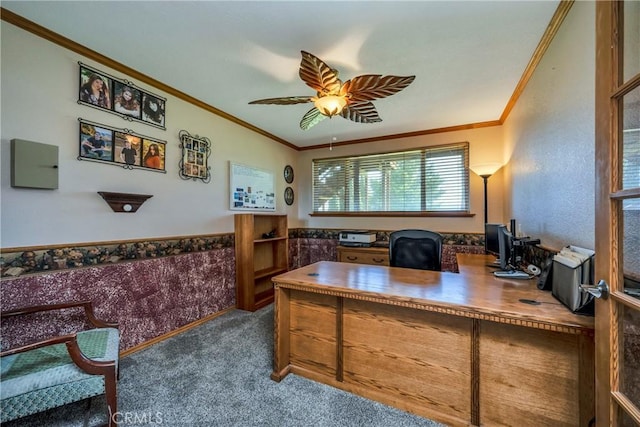office area featuring crown molding, a ceiling fan, wainscoting, and carpet flooring