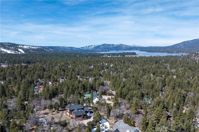 birds eye view of property featuring a water and mountain view