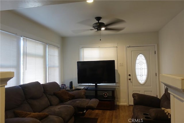 living room with wood-type flooring, a wealth of natural light, and ceiling fan