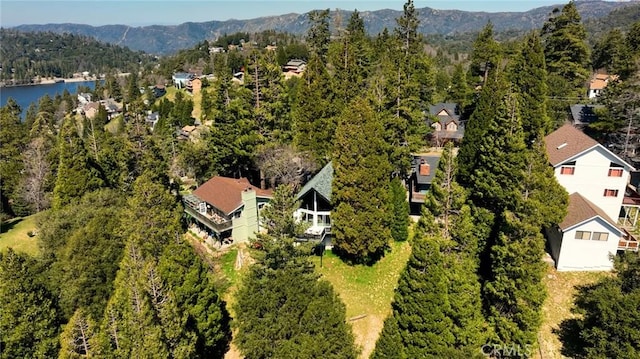 24833 Matterhorn Ct, Crestline, CA 92325 - photo 56
